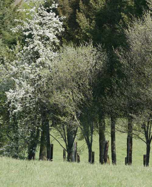 Wandern und Therapiegespräche führen
